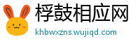 桴鼓相应网